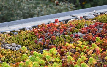 the cost of Portway green roof installation