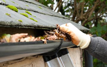 gutter cleaning Portway